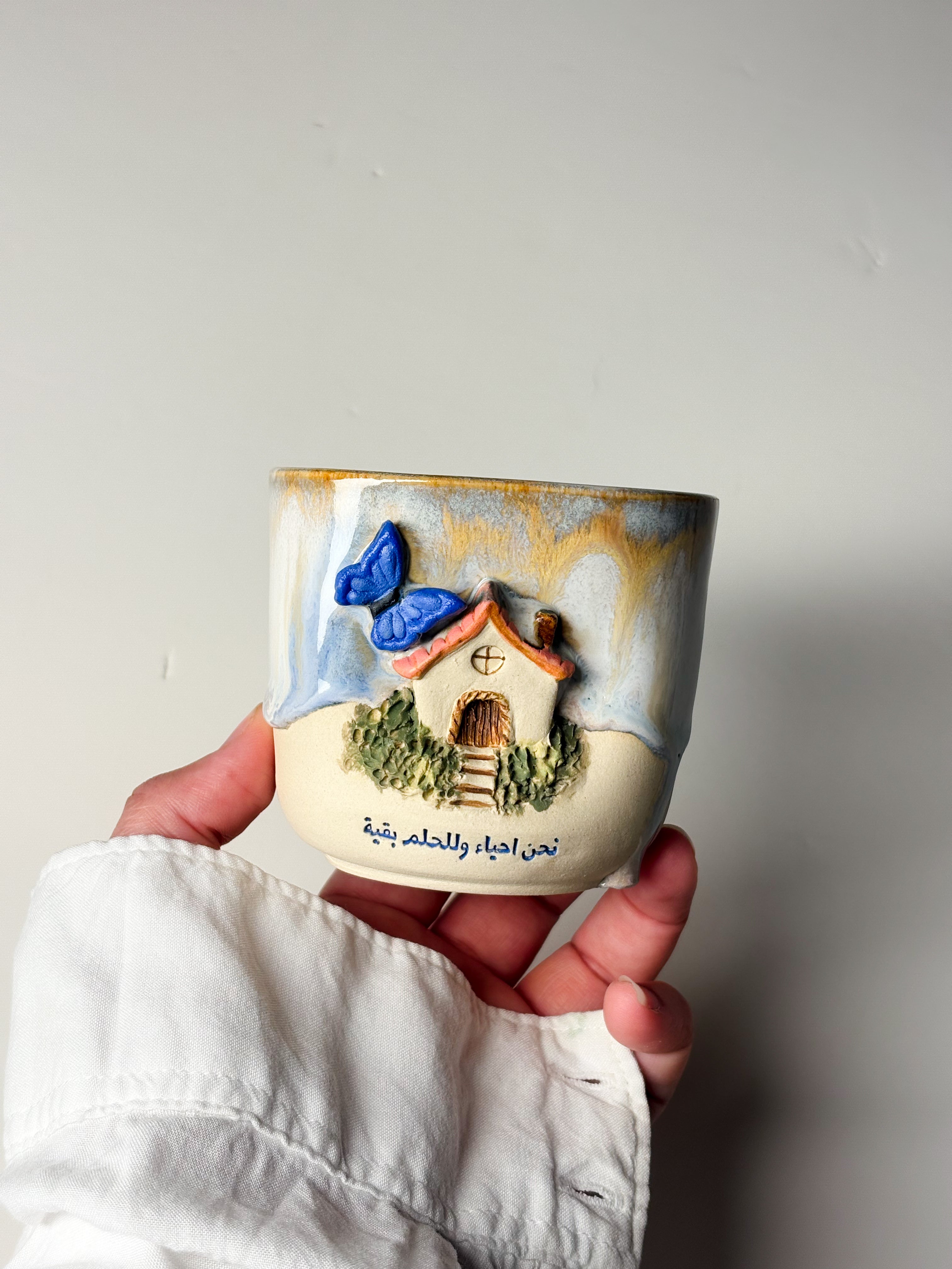 كوخ وفراشة٢