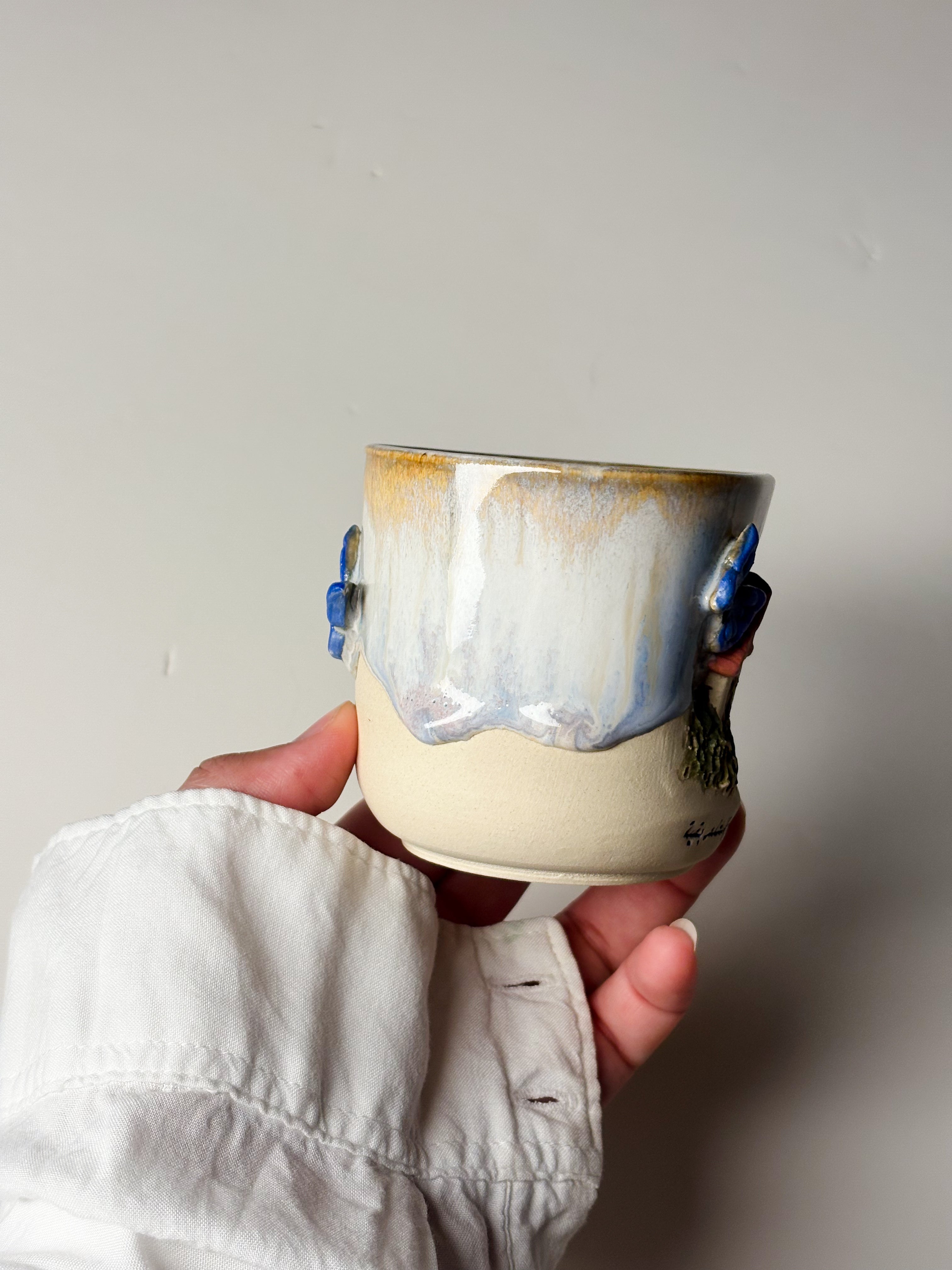 كوخ وفراشة٢